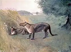 Restoration by Charles R. Knight