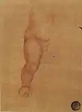 Study for the Infant's leg (1502-1503) in Venice, Gallerie dell'Accademia