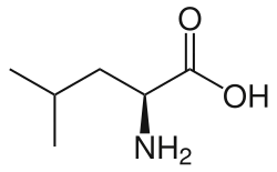 L-Leucine (Leu / L)