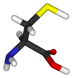 Chemical structure of the amino acid cysteine