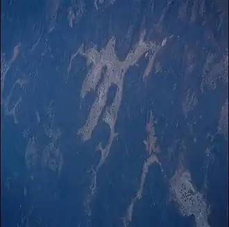 Satellite photo of Lake Barlee