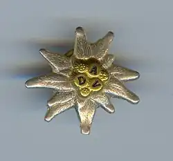 German Alpine Club logo pin.[36]