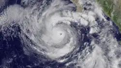 Visible satellite imagery of an small yet intense Hurricane Linda on September&nbsp;8