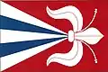 Flag of Litichovice