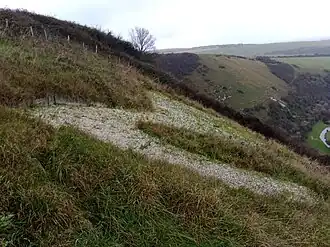 Horse before being scoured