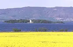 A field of yellow flowers in the foreground, with a dark blue lake beyond. A wooded island in the lake has a white structure of two storeys at centre and there are green and brown hills beyond. There is a small cluster of houses on the distant hill slope at right.