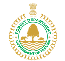 image has rationale=yes