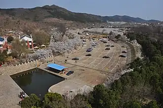 Longwangtang Cherry Blossom Park