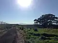 Looking at Mount Tam from San Pablo Bay trail on Mare Island