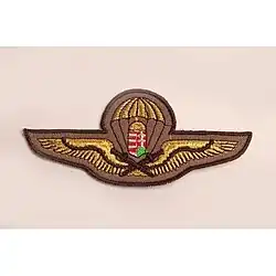 Parachute badge for officers