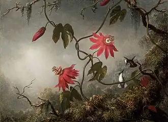 Passion Flowers with Hummingbirds, c. 1870–1883, Boston Museum of Fine Arts