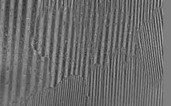 Magnetic domains and domain walls in oriented silicon steel (image made with CMOS-MagView)