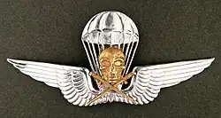 Royal Hungarian Army parachutist badge in silver