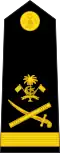 ލެފްޓިނަންޓް ޖެނެރަލް Lieutenant general[59] (Maldivian Marine Corps)