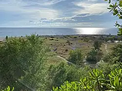 Maribojoc Uplifted Marine Terrace