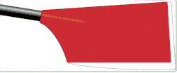 Image showing the rowing club's blade colours