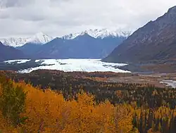 Matanuska Glacier