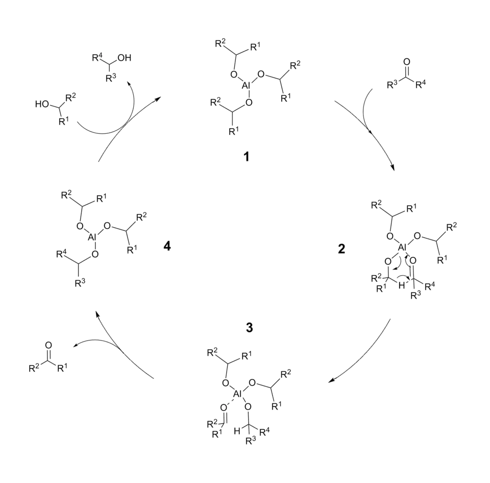 Meerwein–Ponndorf–Verley reduction catalytic cycle