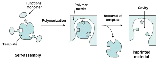 Preparation of molecularly imprinted material