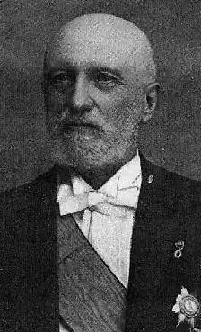 Portrait of a man’s torso. The main is bald, bearded, and wearing a bow tie