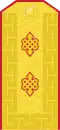 Mongolian Army-Lieutenant general-parade 1990-1998