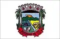 Flag of Morrinhos do Sul