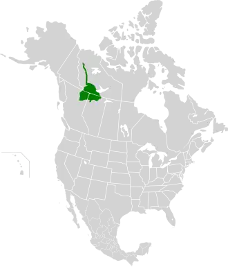 Ecoregion territory (in green)