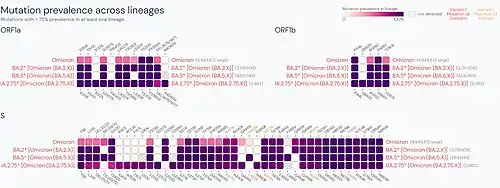 Mutation prevalence across Omicron lineages