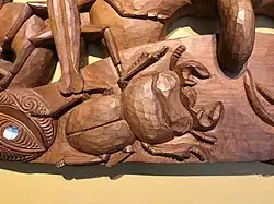 Geodorcus helmsi on a pare