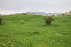The nature of the plains around Kazerun
