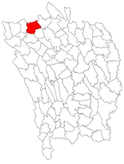 Location in Vaslui County