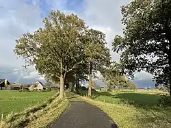 The Pothofweg in Anevelde