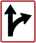 This Lane May Proceed Straight or Turn Right