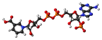 Ball-and-stick model of the NAADP molecule