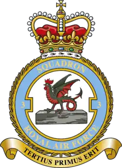 Squadron badge