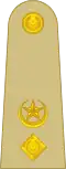 Pakistan Army Lieutenant Colonel