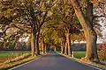A German country road designed as an avenue