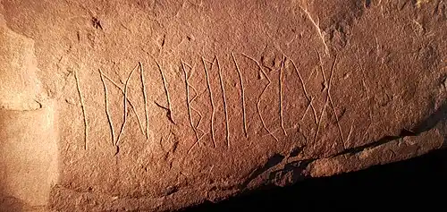 A color photograph of runic symbols carved on red stone