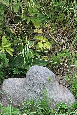 Osiek stone cross 2014