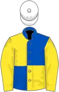 Royal blue and yellow quartered, yellow sleeves, white cap