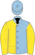 Light blue and yellow halved, yellow sleeves, light blue cap