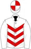 White, red chevrons on body, quartered cap