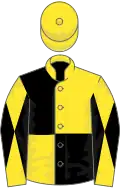 Yellow and black (quartered), diabolo on sleeves, yellow cap