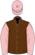 Brown, pink sleeves and cap
