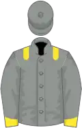 Grey, yellow epaulets, yellow cuffs, grey cap