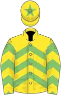 Yellow, light green chevrons, star on cap
