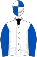 White, royal blue sleeves, quartered cap