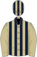 Beige and Dark Blue stripes, Beige sleeves