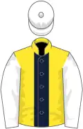 Yellow, dark blue stripe, white sleeves and cap