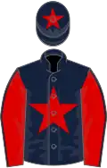 Dark blue, red star, red sleeves, dark blue seams, dark blue cap, red star